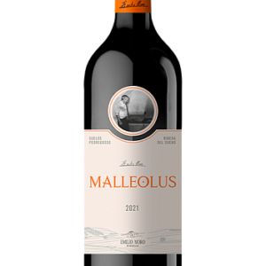 VINO MALLEOLUS